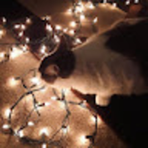 Meet your Posher, Summer - Picture 1 of 1